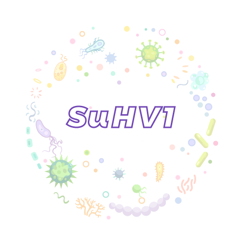 抗性基因 猪甲型疱疹病毒1型（SuHV1）qPCR检测试剂盒