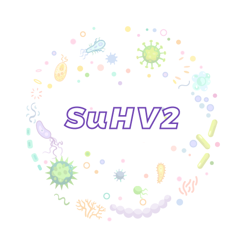 抗性基因 猪乙型肝炎病毒2型（SuHV2）qPCR检测试剂盒