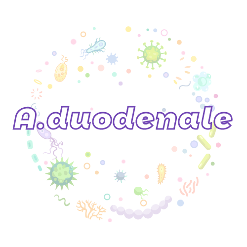 抗性基因 十二指肠钩虫（A.duodenale）qPCR检测试剂盒