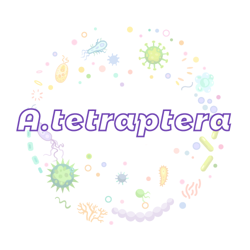 抗性基因 四翅木蜂（A.tetraptera）qPCR检测试剂盒