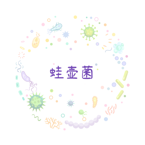 抗性基因 蛙壶菌qPCR检测试剂盒