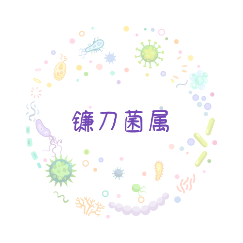 抗性基因 镰刀菌属qPCR检测试剂盒