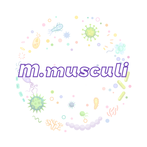 抗性基因 肌肉肌（M.musculi）qPCR检测试剂盒