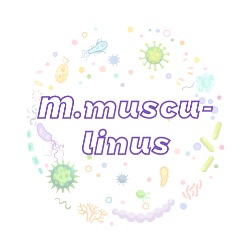 抗性基因 肌翅目（M.musculinus）qPCR检测试剂盒