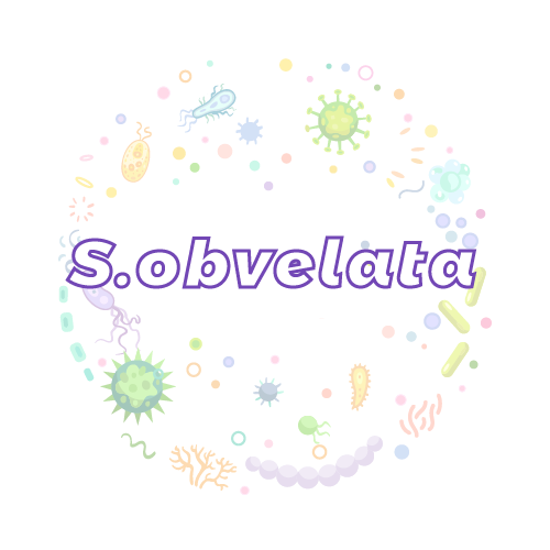 抗性基因 鼠管状线虫 (S.obvelata)qPCR检测试剂盒