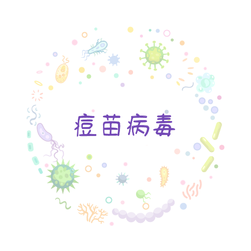 抗性基因 痘苗病毒qPCR检测试剂盒