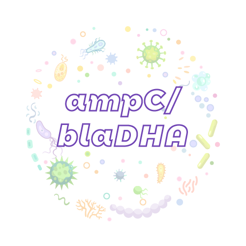 抗性基因 ampC/blaDHA-绝对定量PCR试剂盒