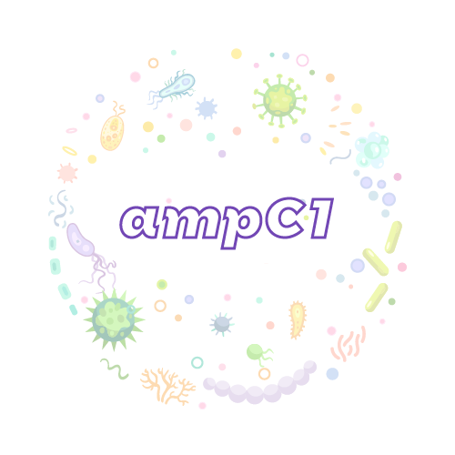 抗性基因 ampC1-绝对定量PCR试剂盒