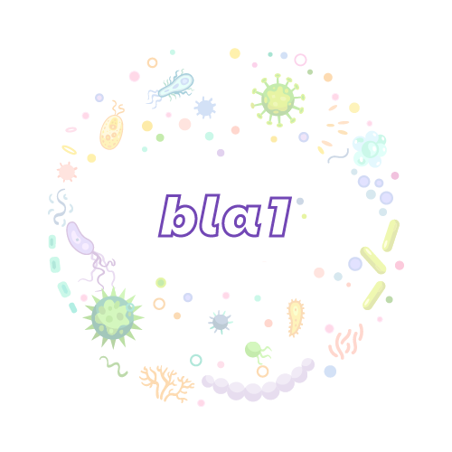 抗性基因 bla1-绝对定量PCR试剂盒