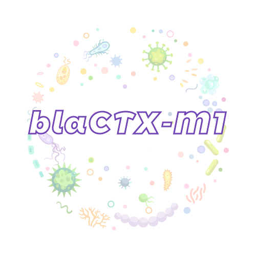 抗性基因 blaCTX-M1-绝对定量PCR试剂盒
