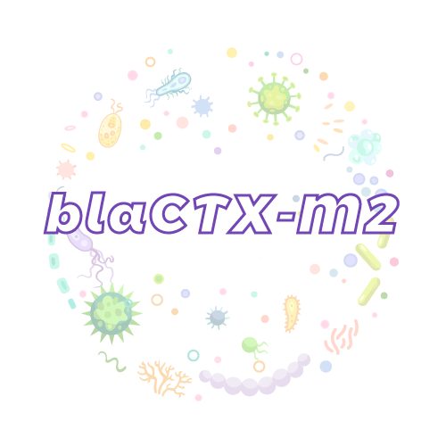 抗性基因 blaCTX-M2-绝对定量PCR试剂盒