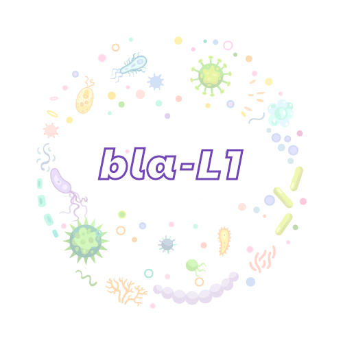 抗性基因 bla-L1-绝对定量PCR试剂盒