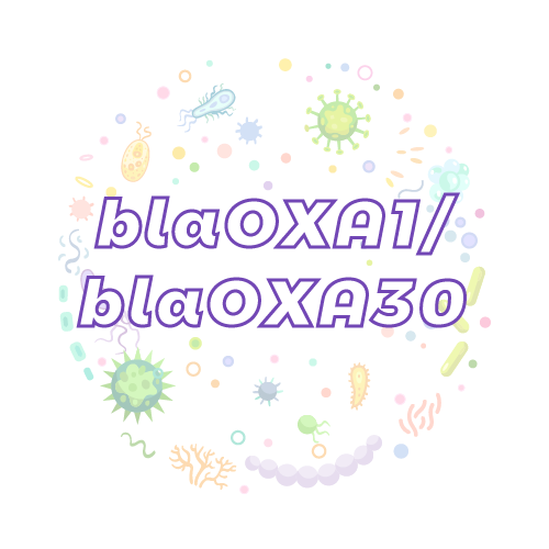 抗性基因 blaOXA1/blaOXA30-绝对定量PCR试剂盒