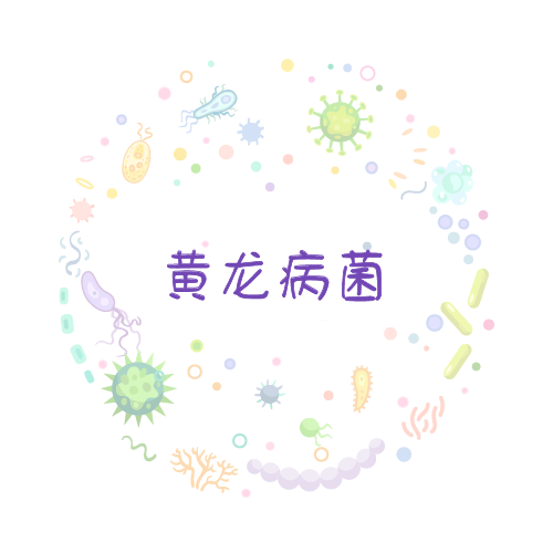 抗性基因 黄龙病菌qPCR检测试剂盒