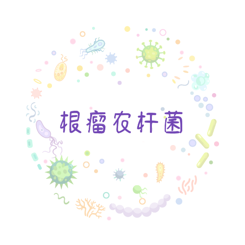 抗性基因 根瘤农杆菌qPCR检测试剂盒
