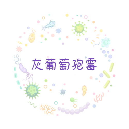 抗性基因 灰葡萄孢霉qPCR检测试剂盒