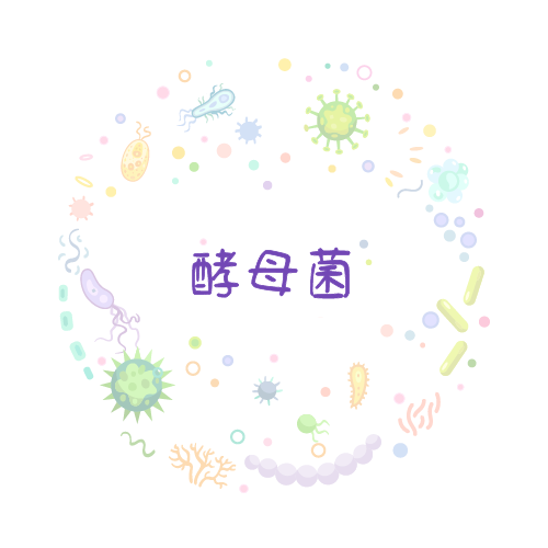 抗性基因 酵母菌qPCR检测试剂盒