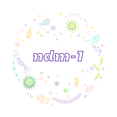 抗性基因 ndm-1-绝对定量PCR试剂盒