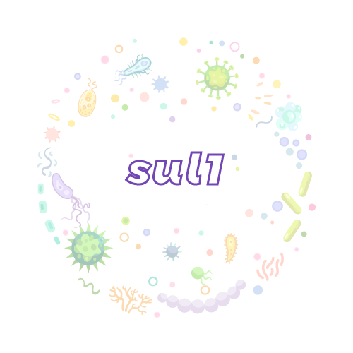 抗性基因 sul1-绝对定量PCR试剂盒