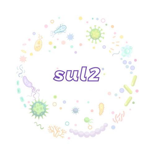 抗性基因 sul2-绝对定量PCR试剂盒