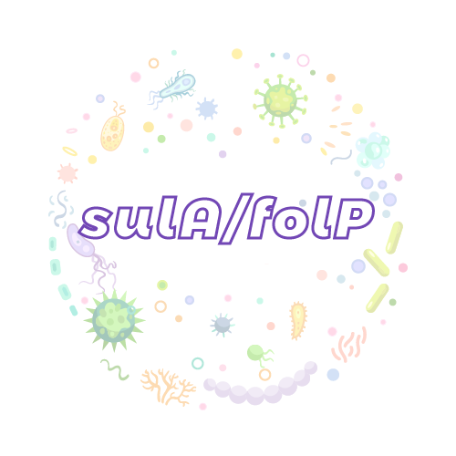 抗性基因 sulA/folP-绝对定量PCR试剂盒