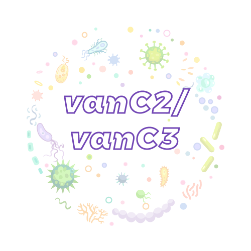 抗性基因 vanC2/vanC3-绝对定量PCR试剂盒