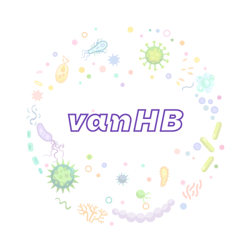 抗性基因 vanHB-绝对定量PCR试剂盒