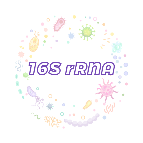 抗性基因 16S rRNA-绝对定量PCR试剂盒