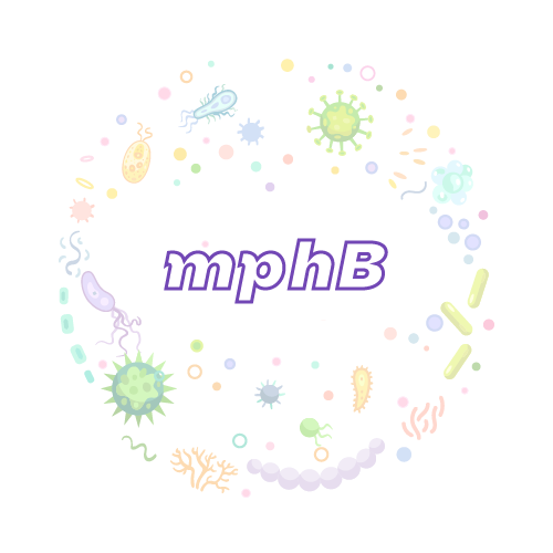 抗性基因 mphB-绝对定量PCR试剂盒