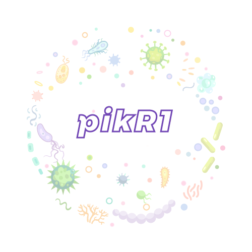 抗性基因 pikR1-绝对定量PCR试剂盒