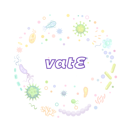 抗性基因 vatE-绝对定量PCR试剂盒