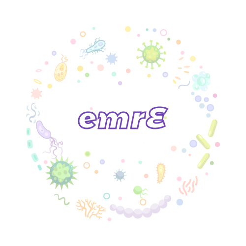 抗性基因 emrE-绝对定量PCR试剂盒