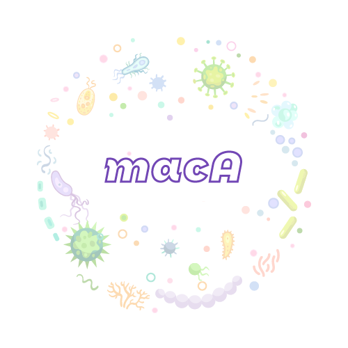抗性基因 macA-绝对定量PCR试剂盒