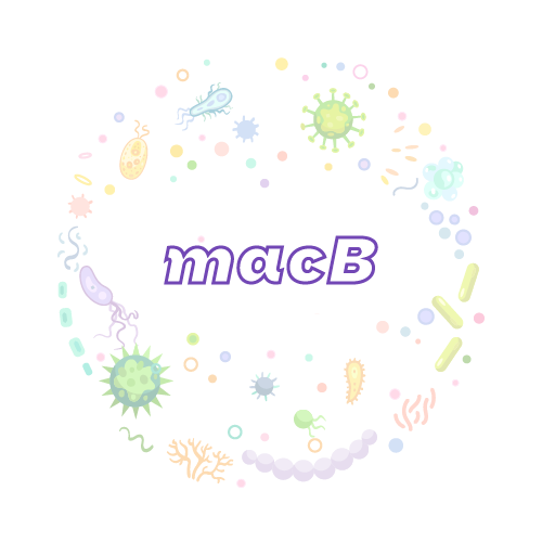 抗性基因 macB-绝对定量PCR试剂盒