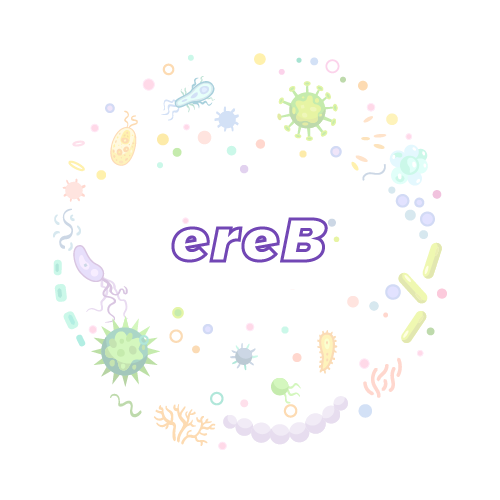 抗性基因 ereB-绝对定量PCR试剂盒