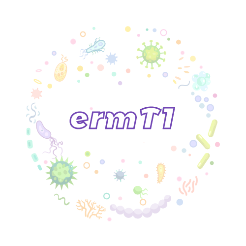 抗性基因 ermT1-绝对定量PCR试剂盒