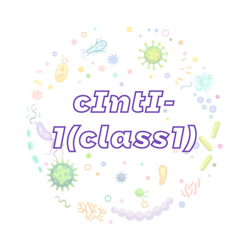 抗性基因 cIntI-1(class1)-绝对定量PCR试剂盒