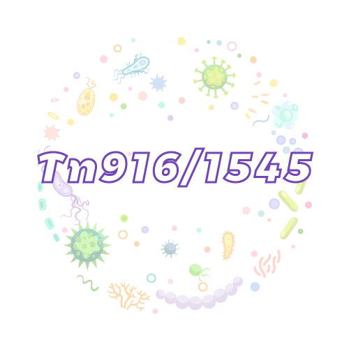 抗性基因 Tn916/1545-绝对定量PCR试剂盒