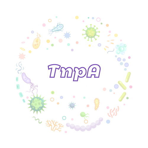 抗性基因 TnpA-绝对定量PCR试剂盒