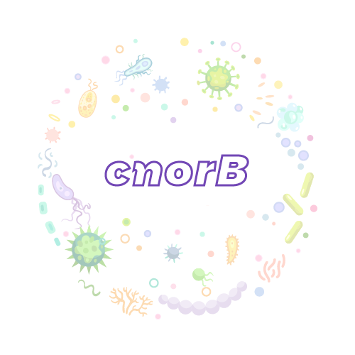 抗性基因 微生物基因检测试剂盒-cnorB