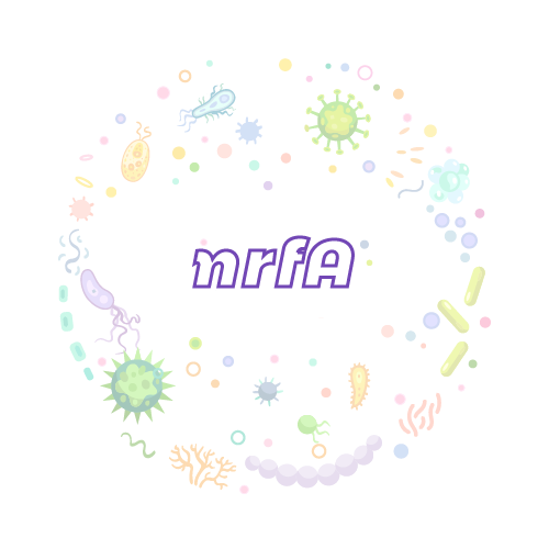 抗性基因 微生物基因检测试剂盒-nrfA
