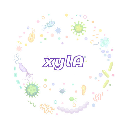 抗性基因 微生物基因检测试剂盒-xylA