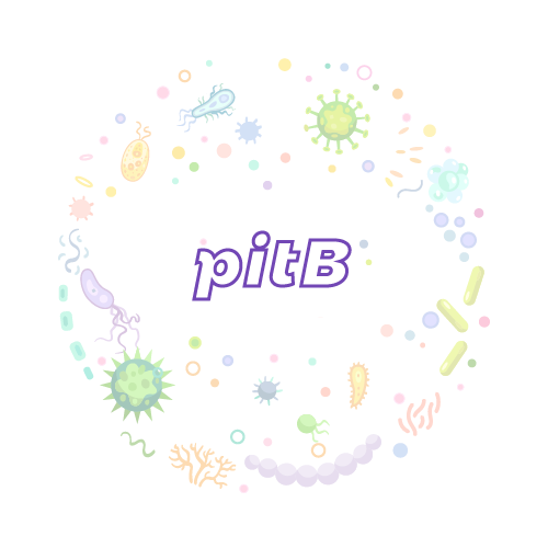 抗性基因 微生物基因检测试剂盒-pitB