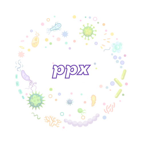 抗性基因 微生物基因检测试剂盒-ppx