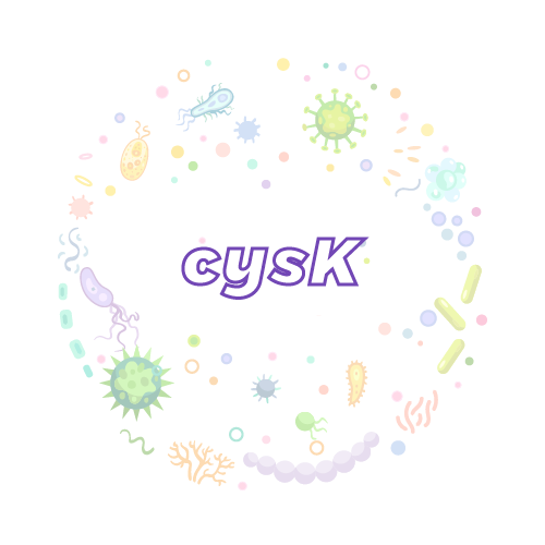 抗性基因 微生物基因检测试剂盒-cysK