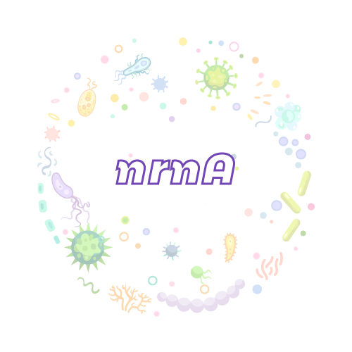 抗性基因 微生物基因检测试剂盒-nrnA