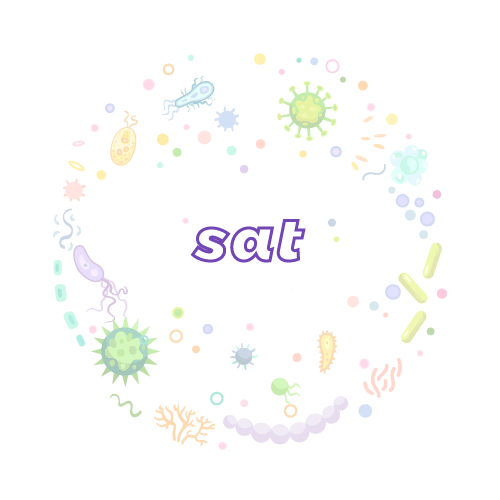 抗性基因 微生物基因检测试剂盒-sat