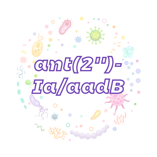 抗性基因 ant(2'')-Ia/aadB-绝对定量PCR试剂盒
