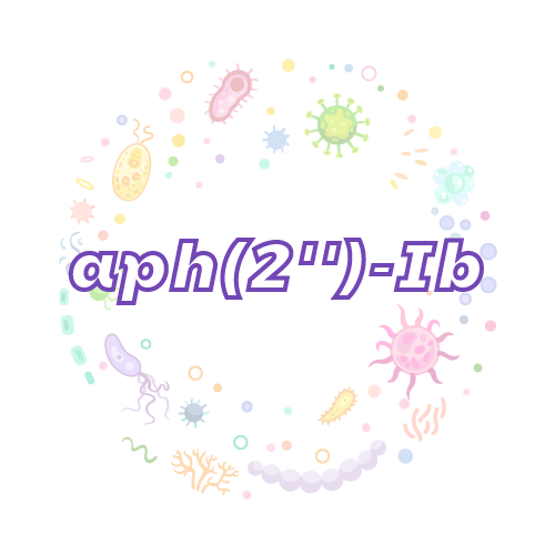 抗性基因 aph(2'')-Ib-绝对定量PCR试剂盒