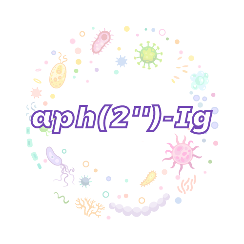 抗性基因 aph(2'')-Ig-绝对定量PCR试剂盒